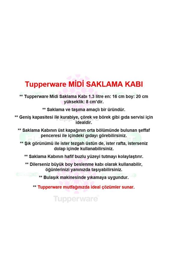 Saklama Kutusu Peynir Kurabiye Beslenme Taşıma Kabı - 2