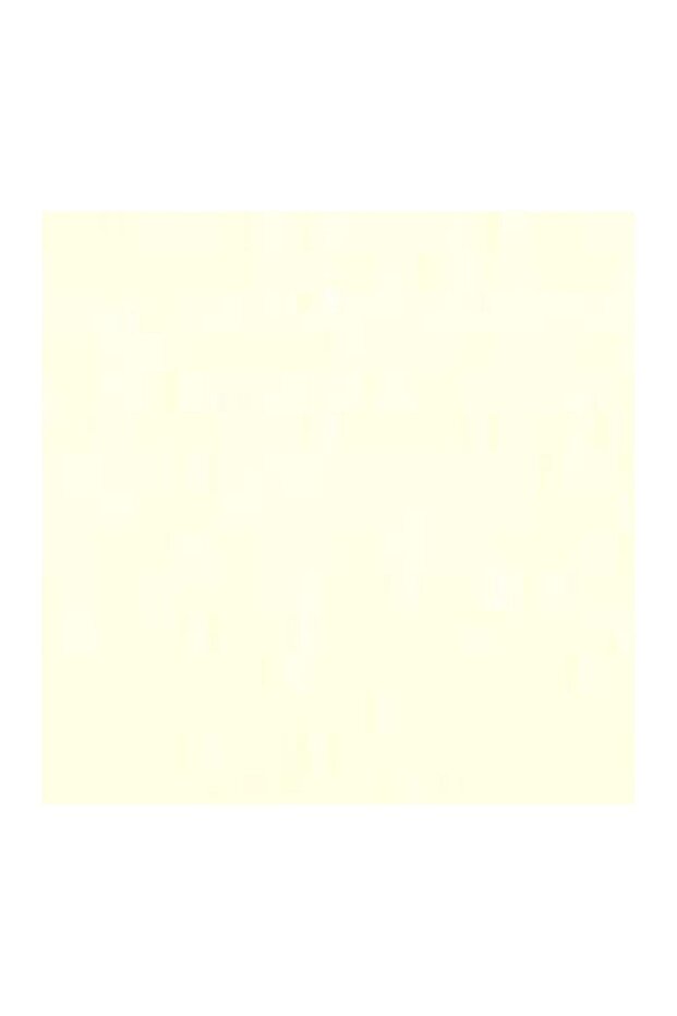 : Yağlı Boya : 40 Ml : Titanium White - 2