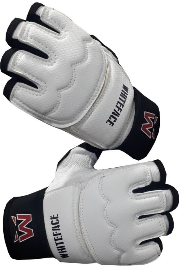 Taekwondo Eldiveni - 2