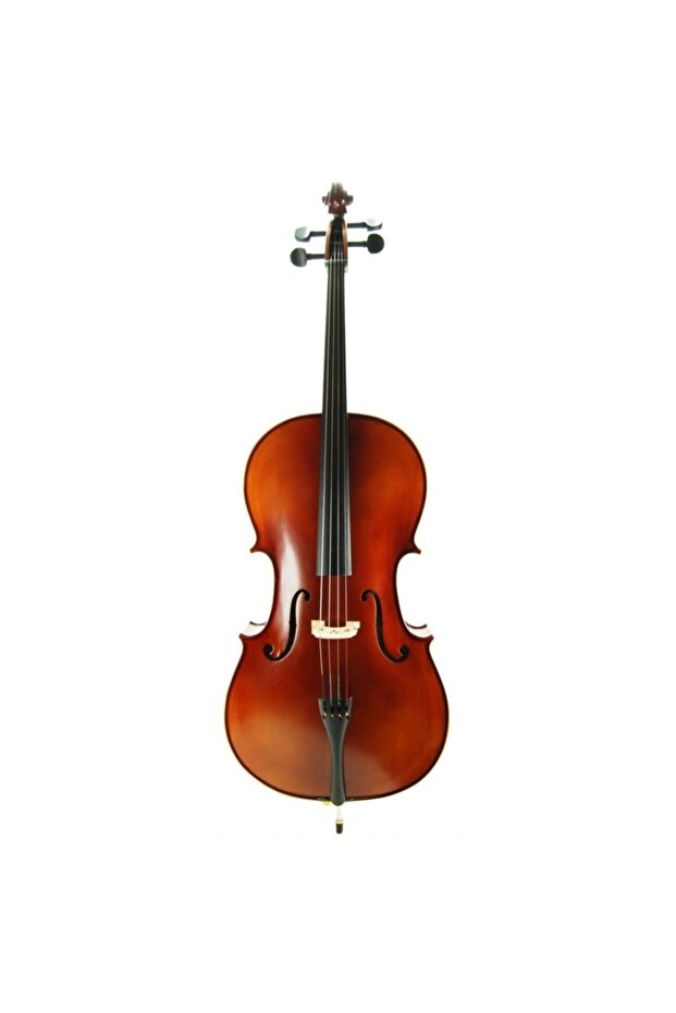 Cello ( Violonsel ) Stanislava STC44BR - 3