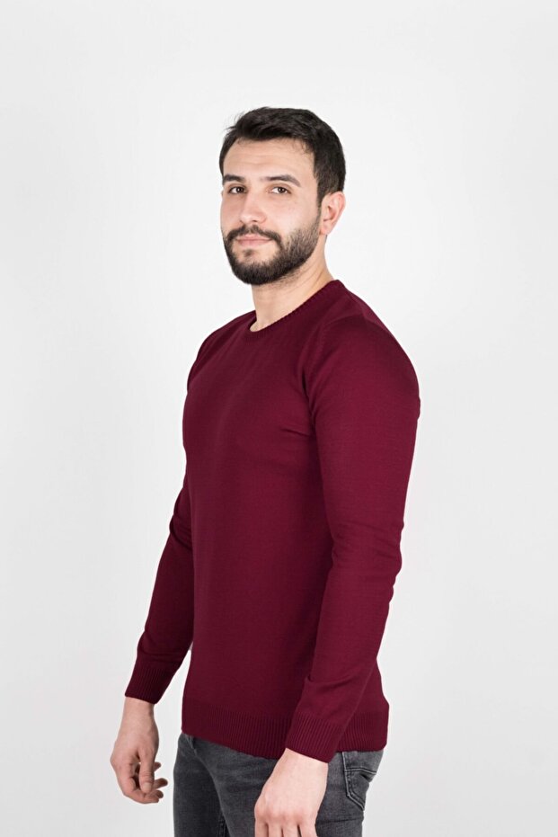 Regular Men's Knitwear Plum Sweater Crew Neck Winter