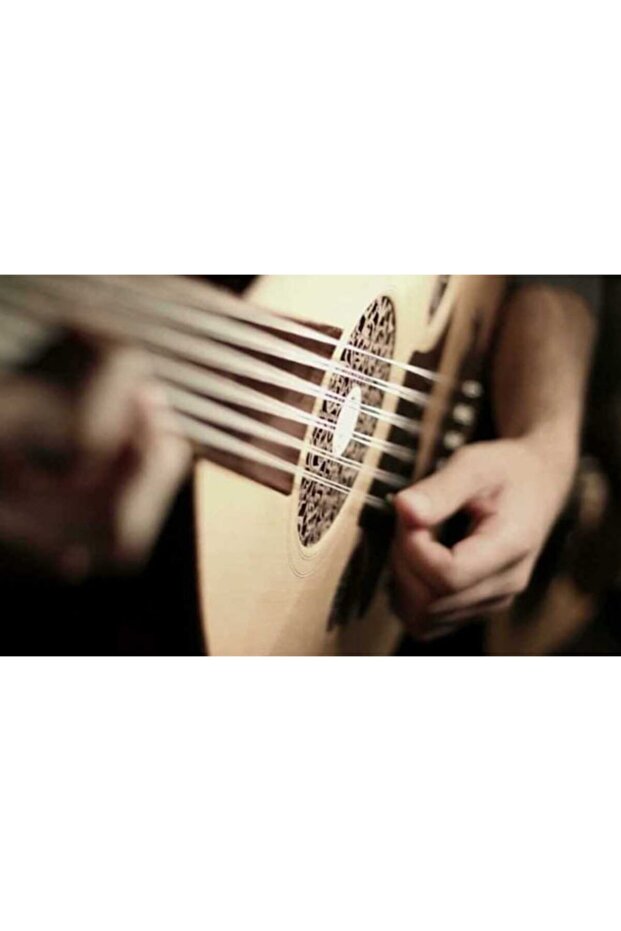 Ud Öğrenci Ud'u Başlangıç Seviyesi Için En Uygunu - 1