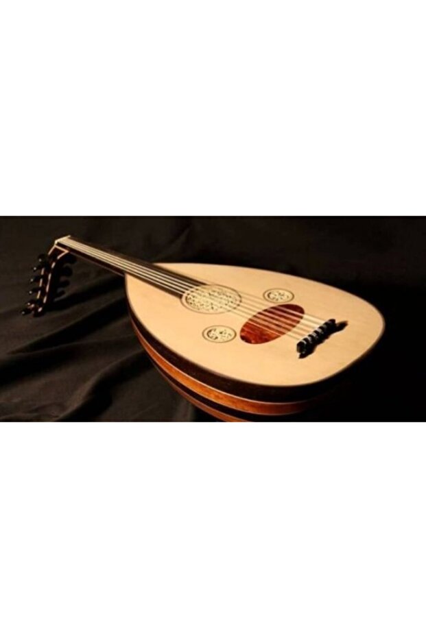 Ud Öğrenci Ud'u Başlangıç Seviyesi Için En Uygunu - 3