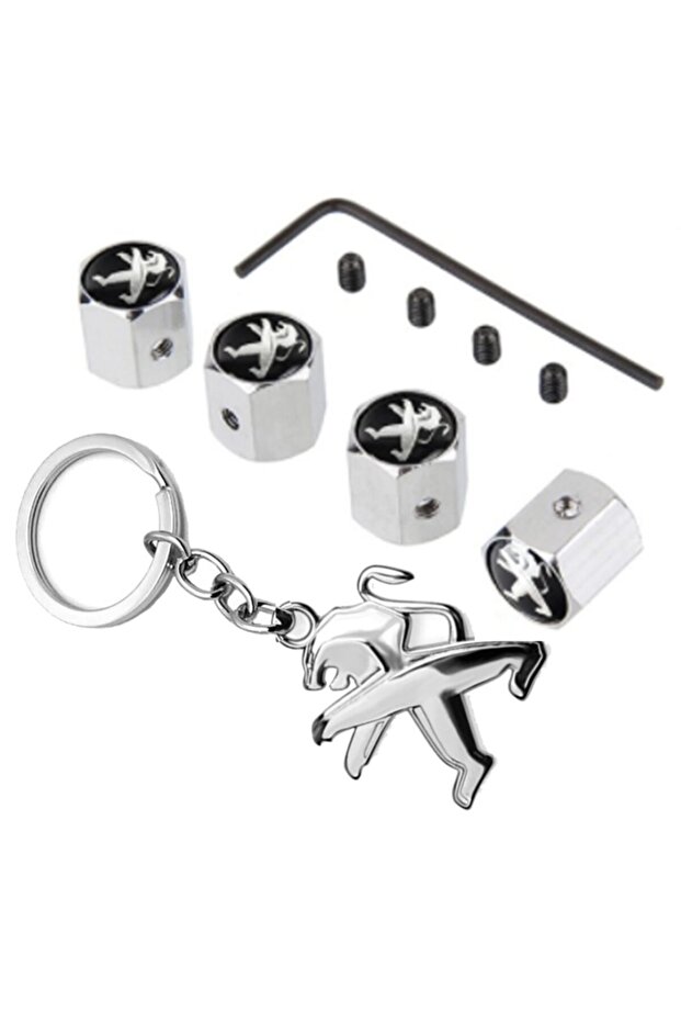 Peugeot 206 Valve Cover Chrome Alloy Model and Keychain