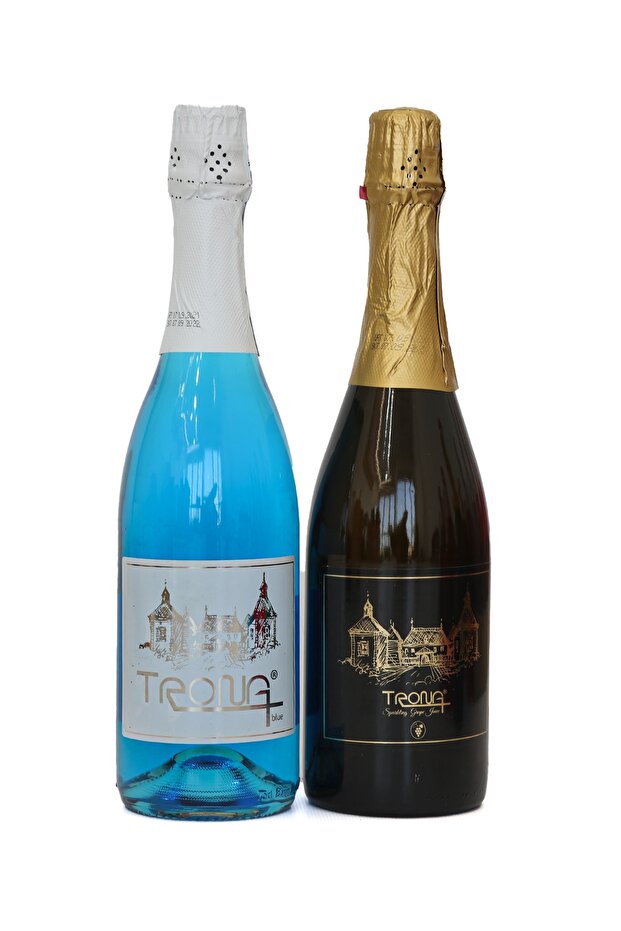 Gazlı Içecek 75cl*2 Adet