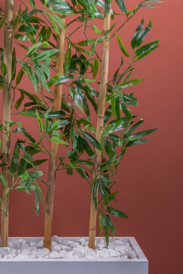 170 Cm Bambu Seperatör - 3