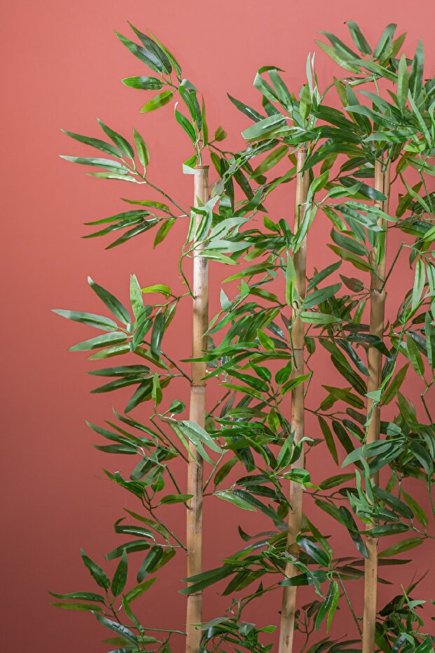 170 Cm Bambu Seperatör - 2