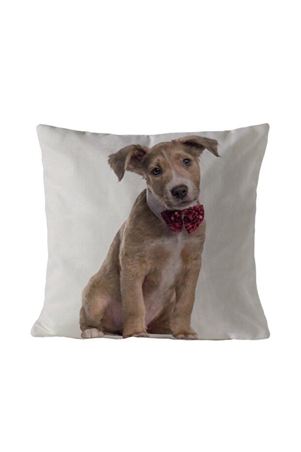 وسادة رمي موديل 02 - 2