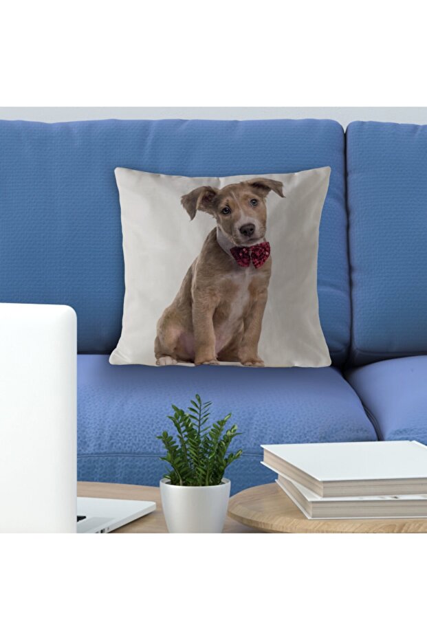 وسادة رمي موديل 02 - 1