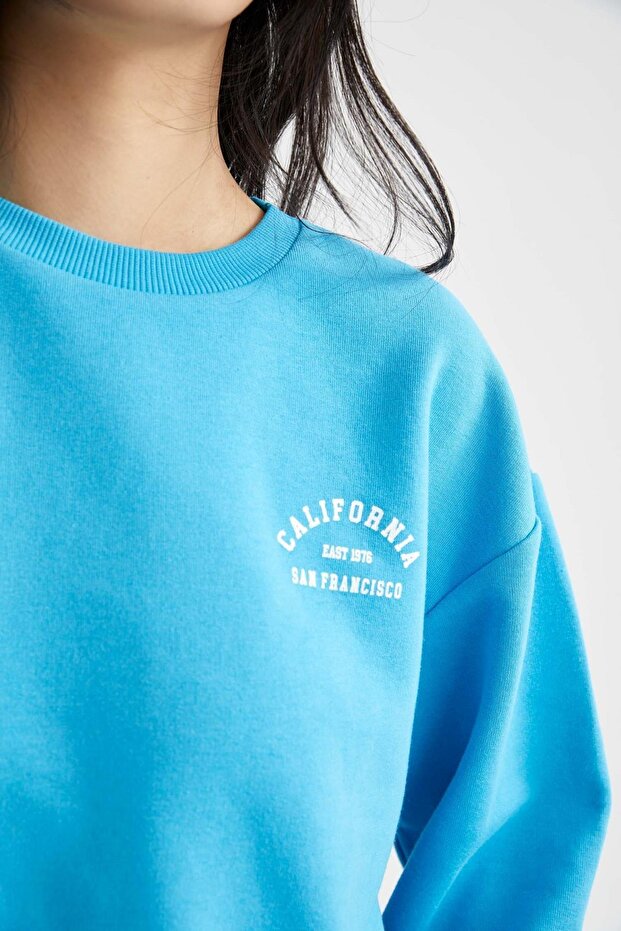 Regular Fit Bisiklet Yaka Sweatshirt - 5