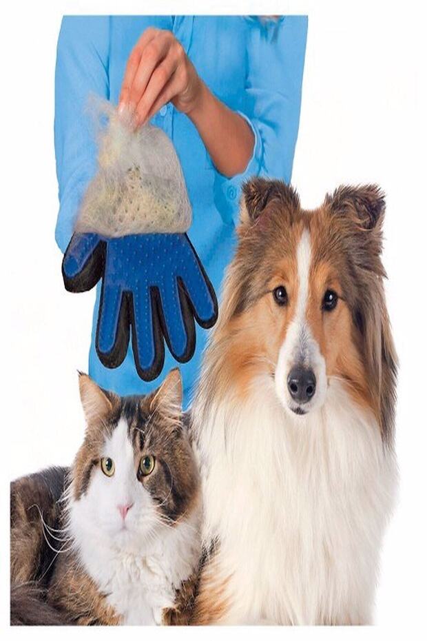 Tüy Toplayan Kedi Köpek Temizleme Tarama Eldiveni + Pati Desenli Evcil Hayvan Dışkı Poşeti - 3
