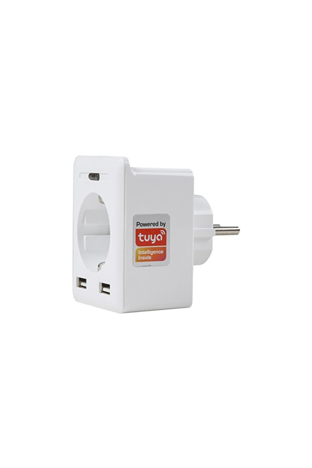 Swapp Sl-04 10a Surge محمي مقبس ذكي 2 USB 2.4 جيجا هرتز واي فاي مدعوم من Tuya