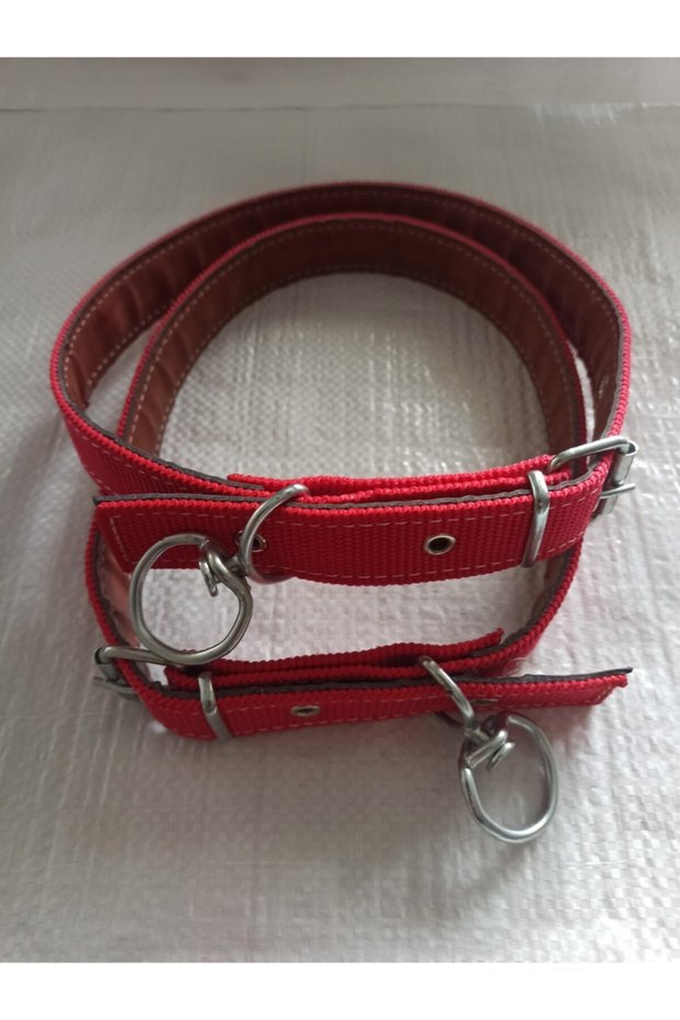 Large Breed Adult Dog Collar 80 Cm Width 3 Cm