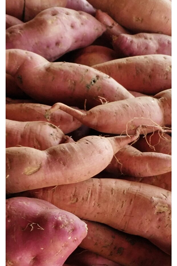 Tatlı Patates 5 kg - 1