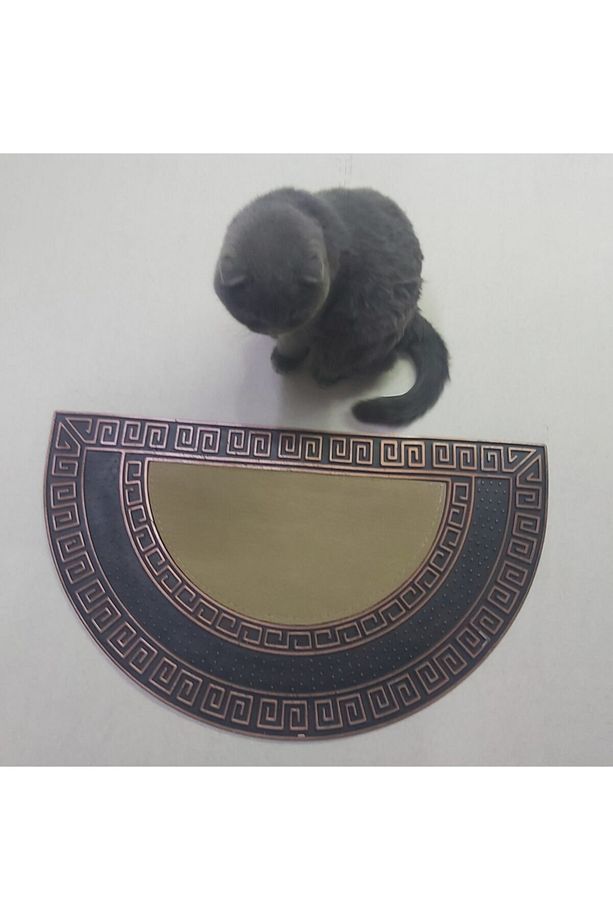 Kapı Önü Paspası - 1