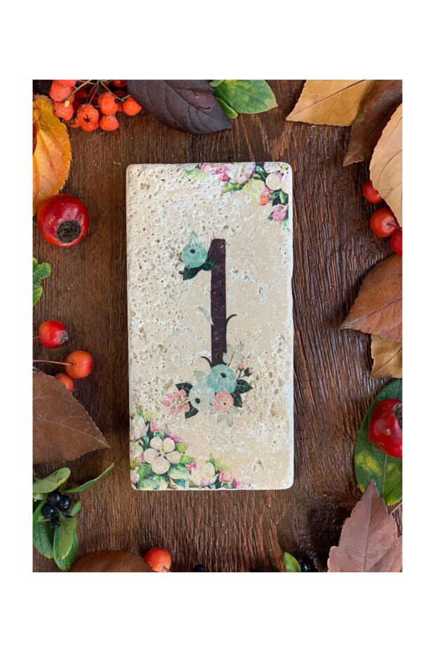 Doğaltaş Kapı Numarası 1 - 1