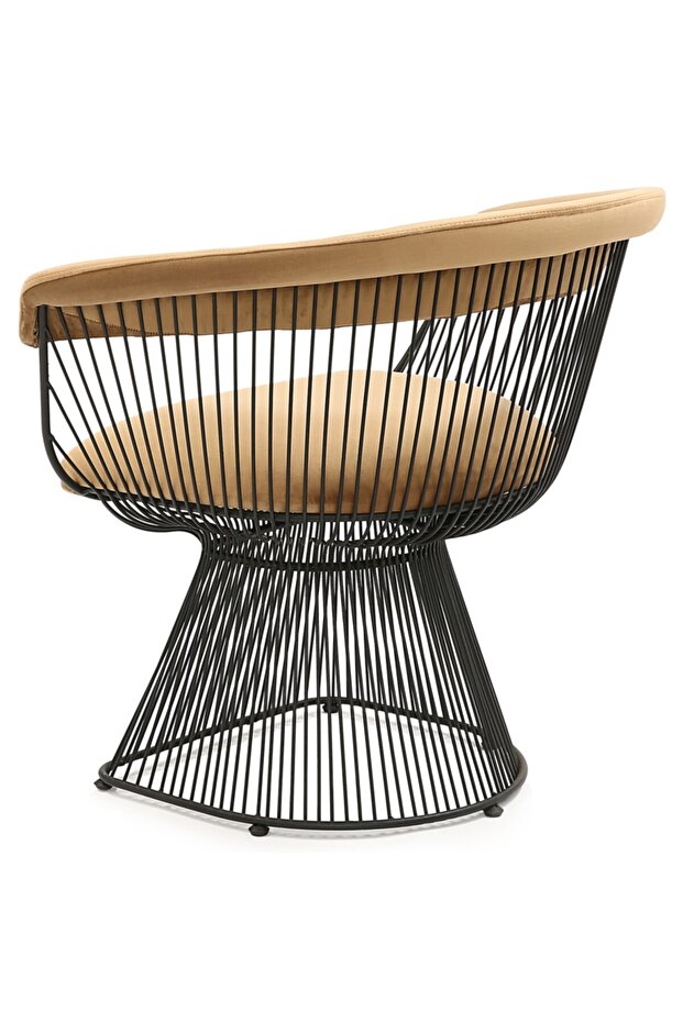 Sarı Lol Berjer - 3