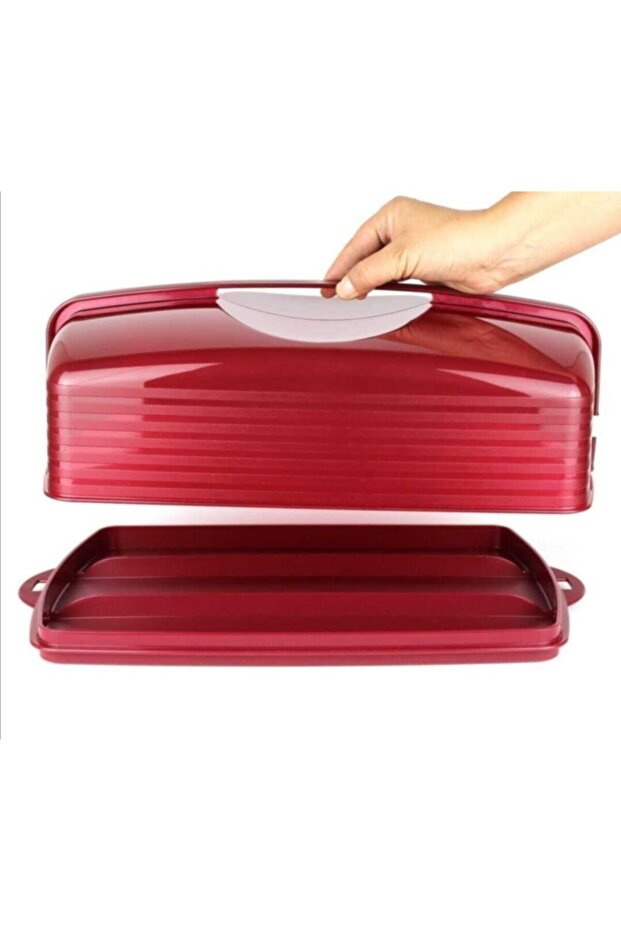 Kristalin Dikdörtgen Pasta Sunum Servis Saklama - 2