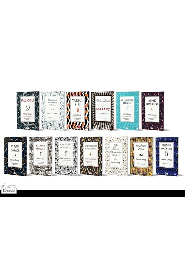 Stefan Zweig 13 Kitap Set - Bez Ciltli Özel Baskı - 1