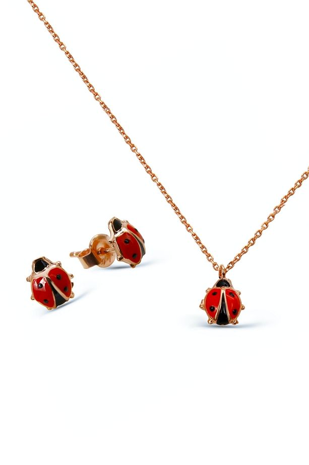 925 Ayar Gümüş Uğur Böceği Set - S014402 - 1