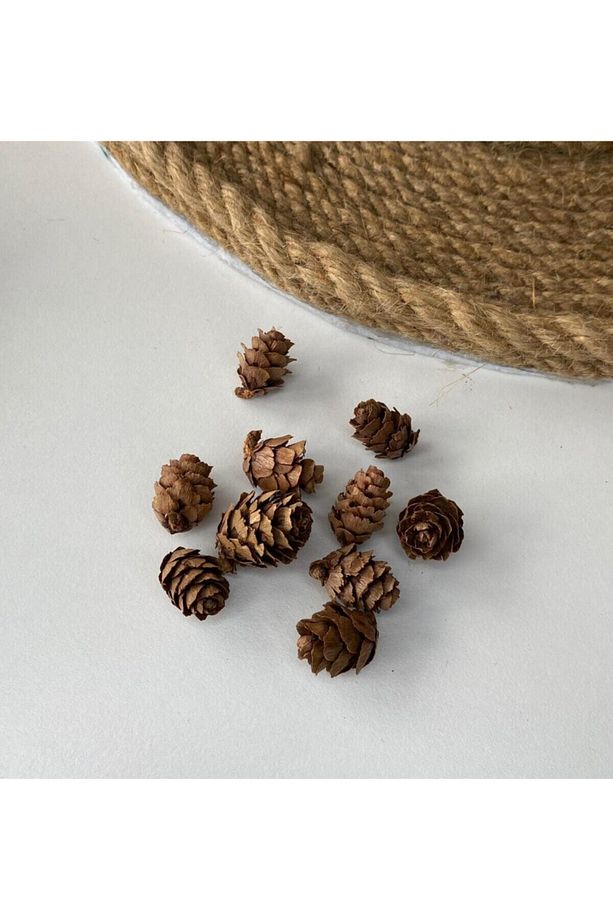 5 Paket 50 Adet Mini Kozalak Yılbaşı Sofra Çam Ağacı Süsü Kapı Süsü - 2