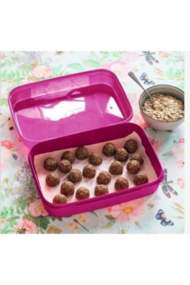 حاوية تخزين كبيرة F20 - 1