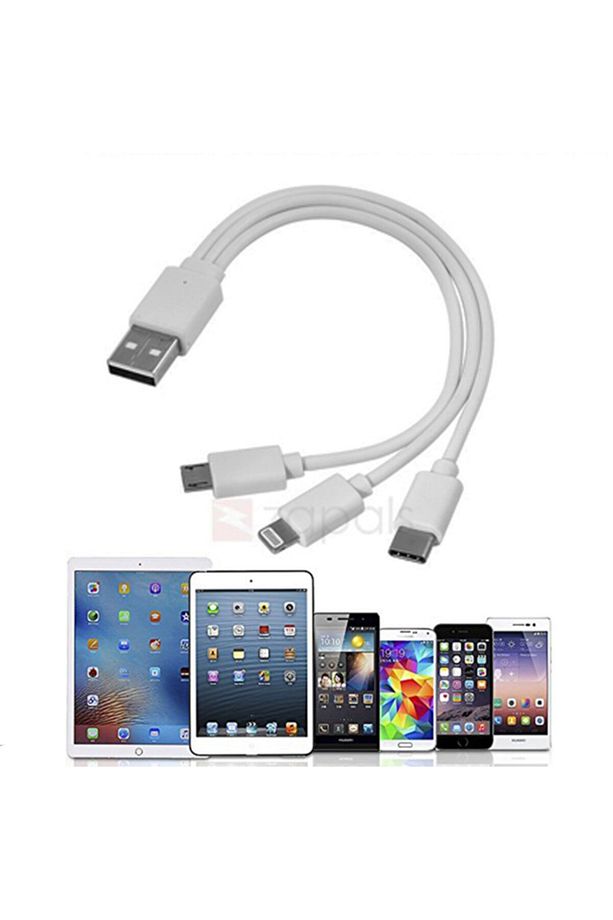 3 In 1 Usb Data Şarj Kablosu Mikro Usb Iphone Lightning Usb Type-c Android Ios Uyumlu - 1