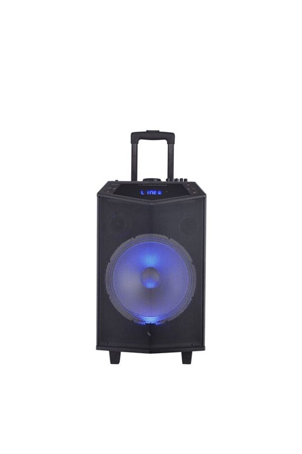 Oyılıty Dk-12 Usb Bluetooth, Şarjlı, Kareoke Mikrofonlu Taşınabilir Ses Sistemi 100w-300w - 1