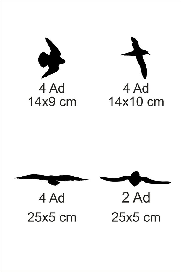 Pencere Önünde Uçan Kuşlar Dekoratif Sticker (14 Adet Figür) Siyah - 2