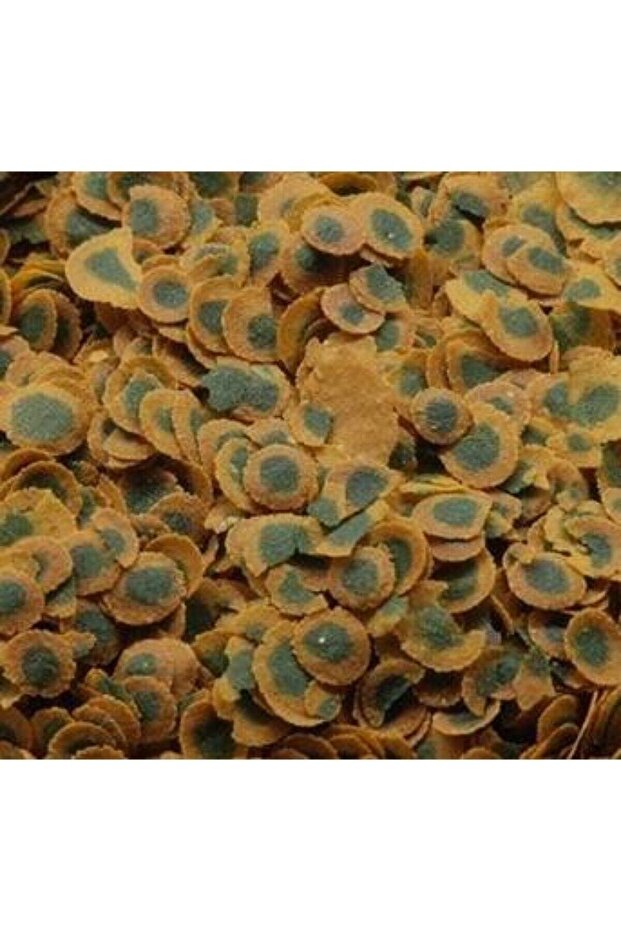 Pro Algae 500 Gram Bitkisel Balık Yemi - 2