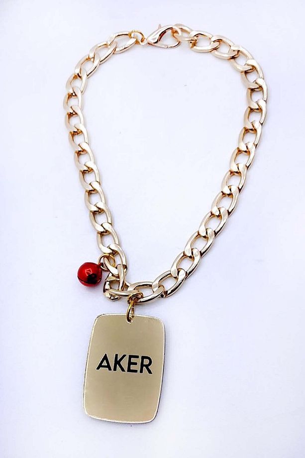 Evcil Hayvan Isimlikleri Künyeleri Trend Kedi Köpek Tarz Künye Can Dostlarımıza Gold Künye Isimlik - 2