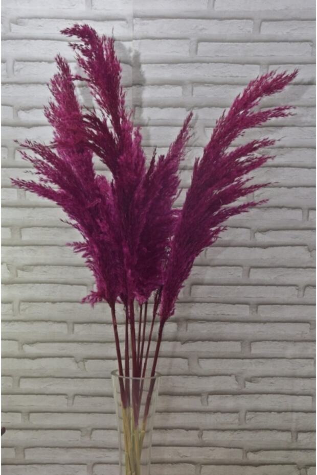Fuşya Pampas 10 Adet 100cm