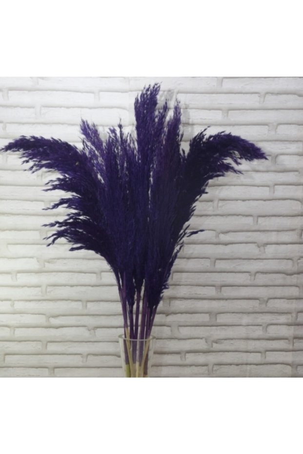 Mor 10 Adet 100cm Pampas