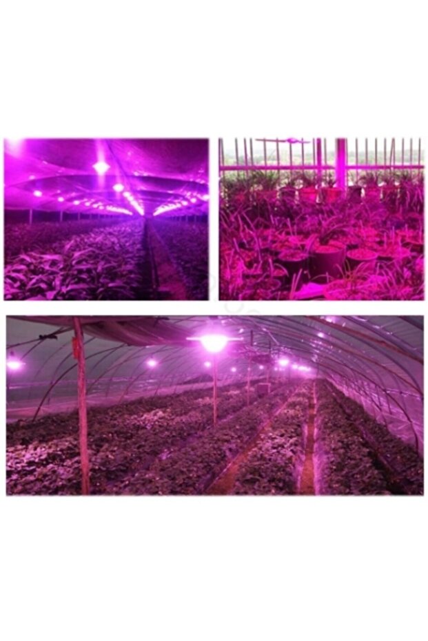 1 Watt Power Led Grow (full Spectrum) - 3