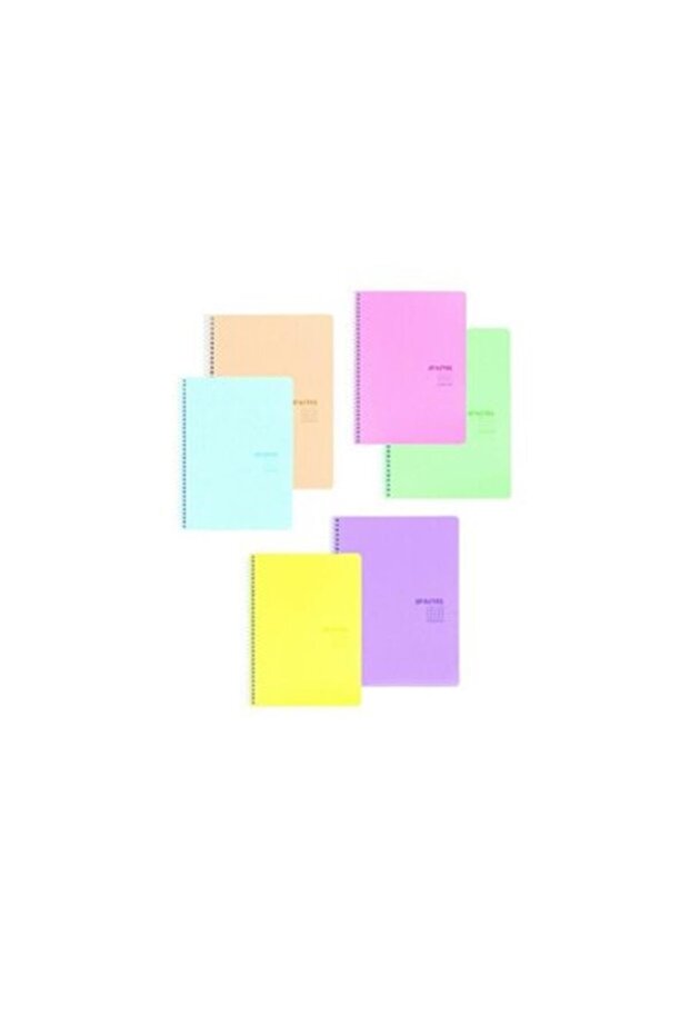 100 Sheets Striped Pp Cover Spiral Notebook