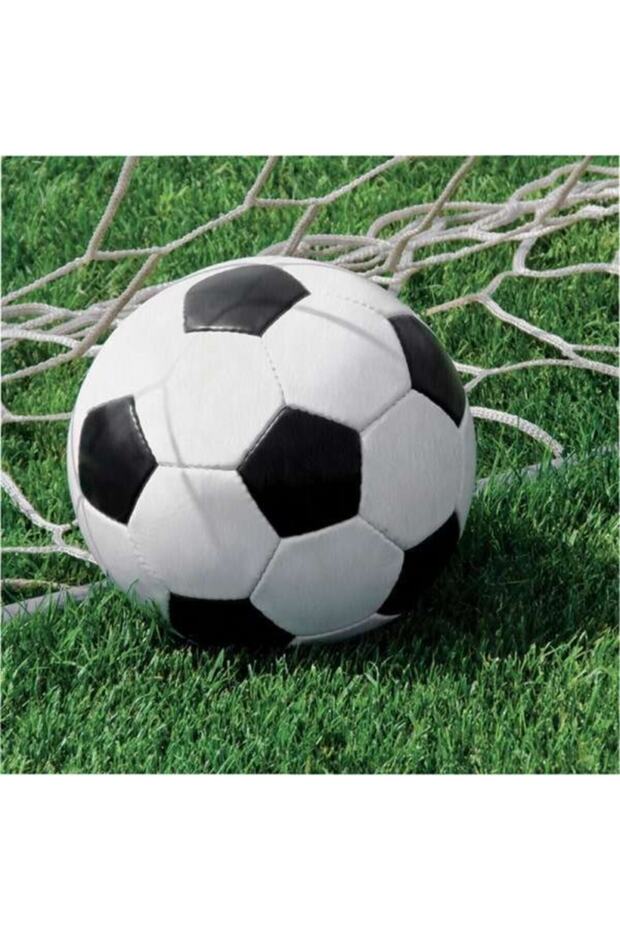 Football Ball Theme Napkin 16 Pieces