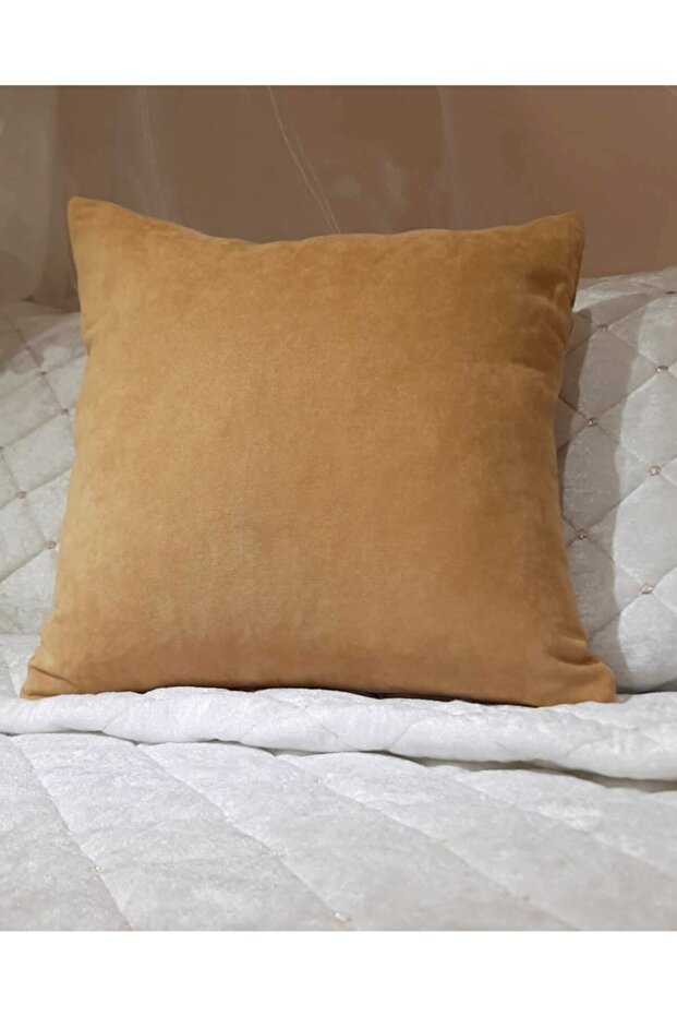 Decorative Throw Pillow Case