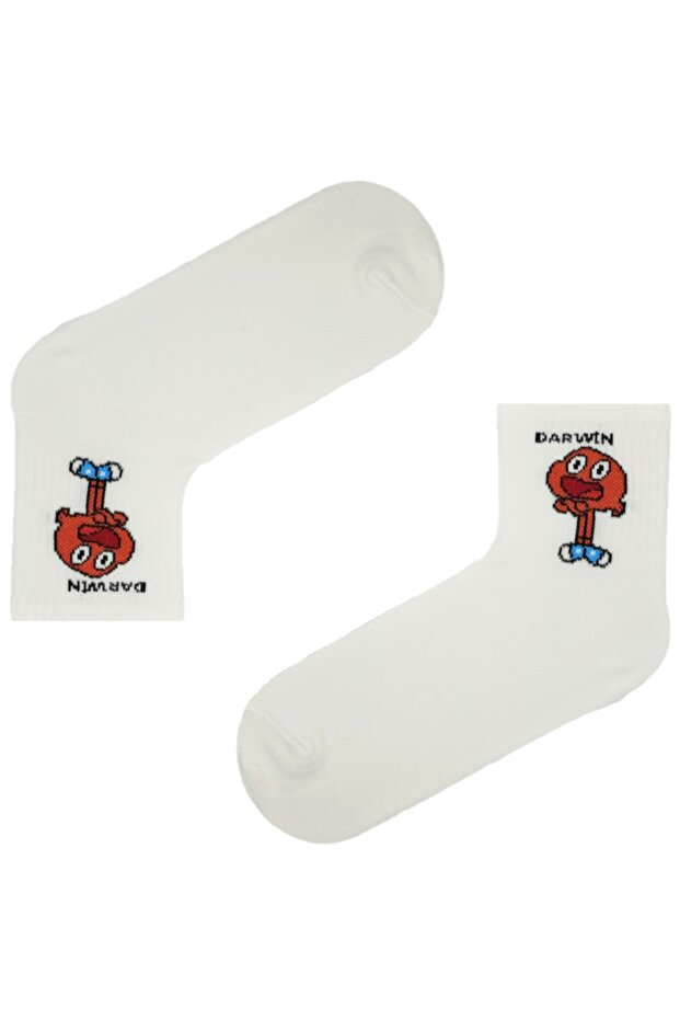 Darwin Temalı Çorap - Beyaz - 2