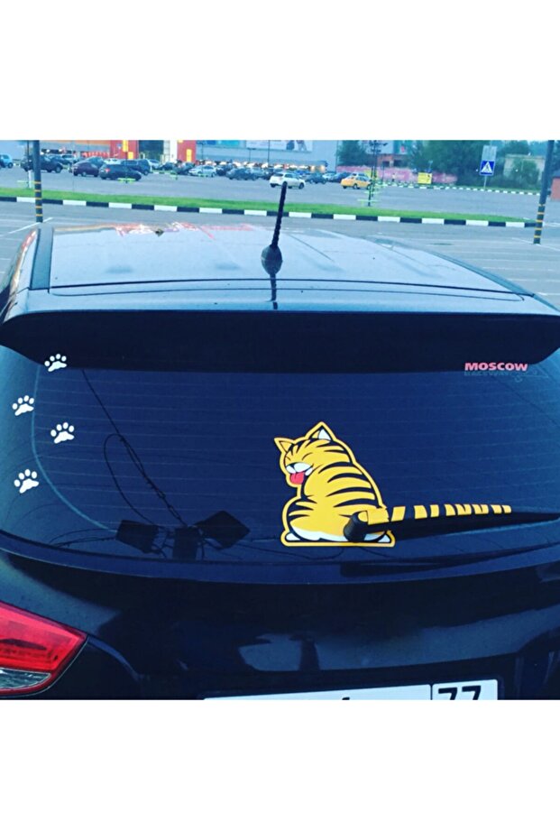 Back Glass Cat Sticker with Wiper