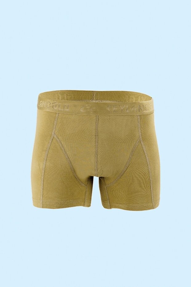 Erkek 3'lü Açık Yeşil Likralı Boxer