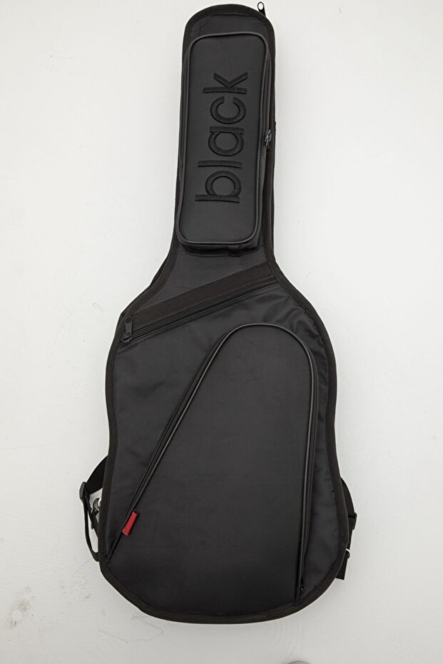 Elektro Gitar Kılıfı - 5