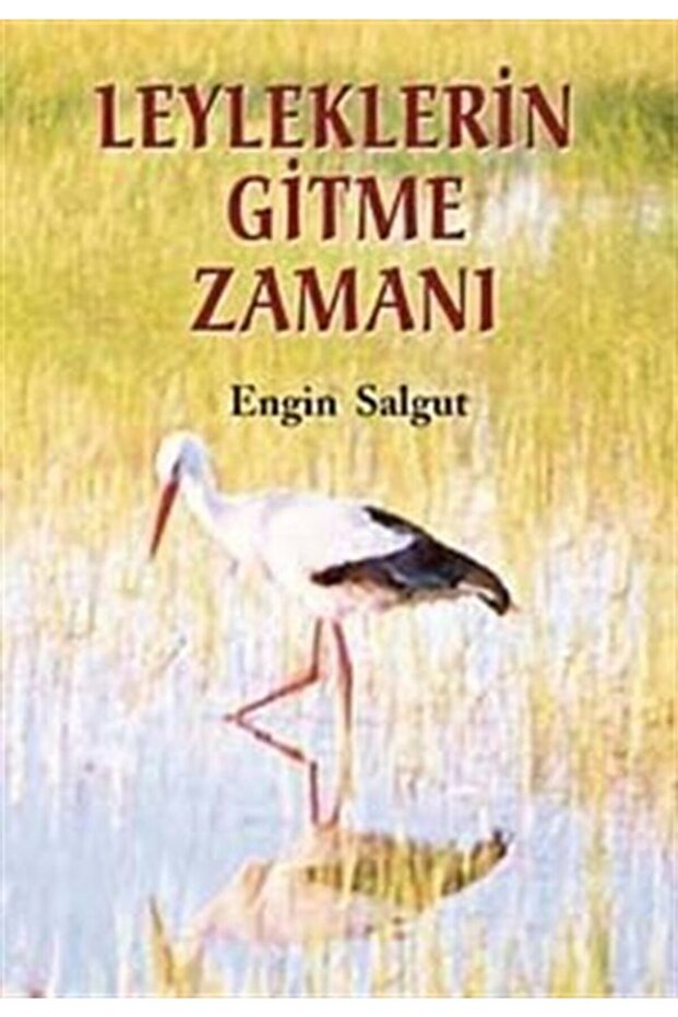 Leyleklerin Gitme Zamanı- Engin Salgut
