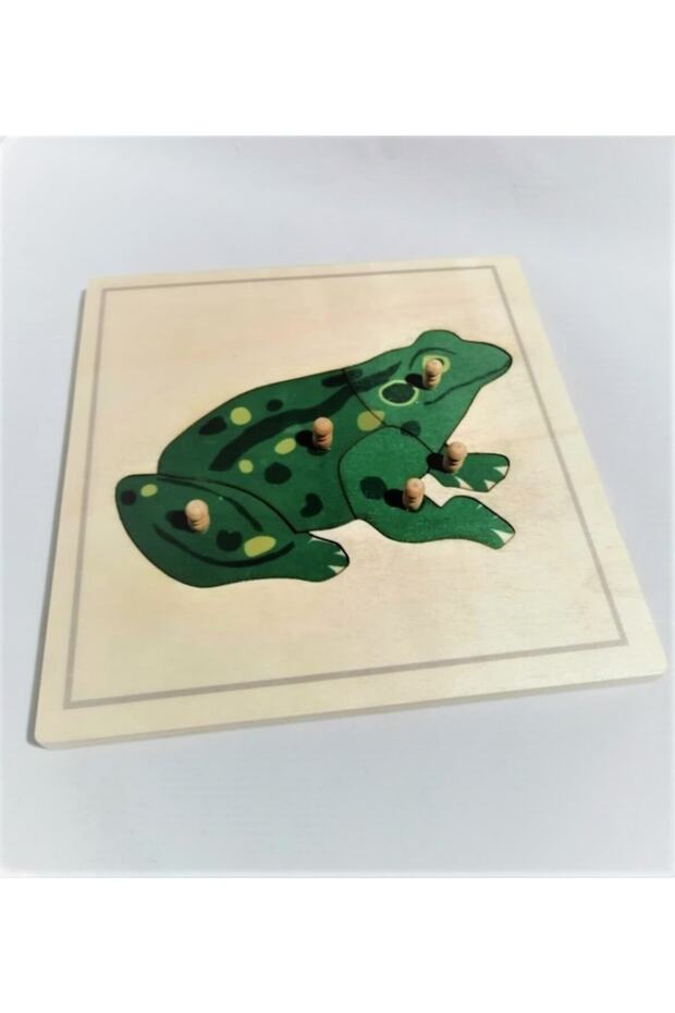 Montessori Kurbağa Puzzle