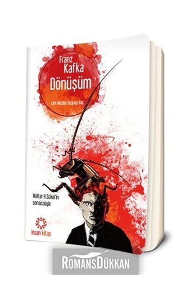 Dönüşüm