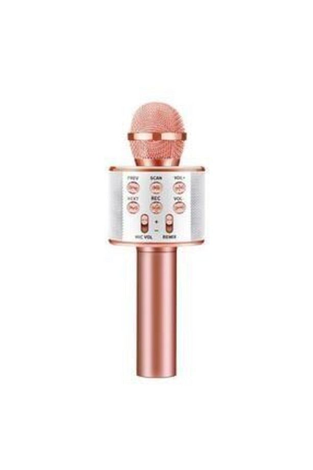 Bluetooth Hoparlör Aux Usb Mikro Sd Kart Girişli Silver  Karaoke Mikrofon Ws-858 - 5