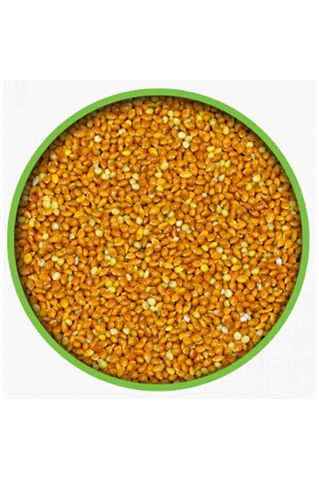 Kızıl Darı 500gr - 1