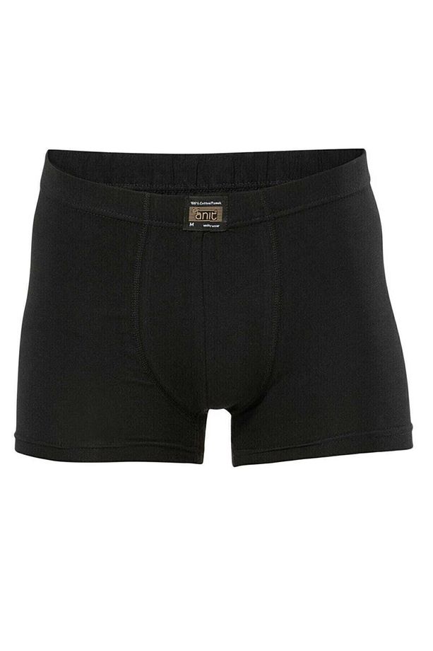 1271 Boxer - 1