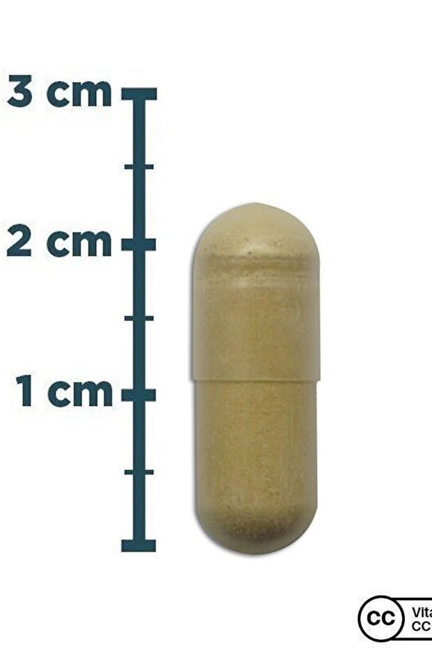 Milk Thistle Complex 60 Kapsül - 3