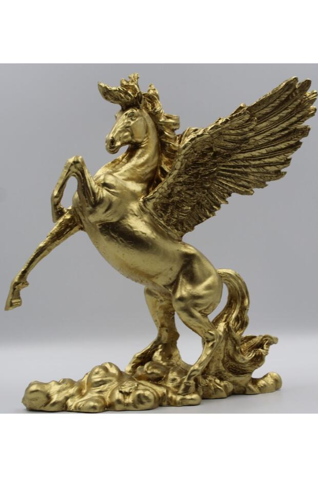 Kanatlı Pegasus - 2