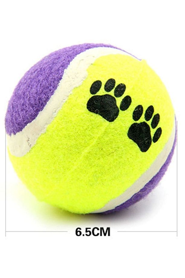 CLZ303  3lü Renkli Desenli Tenis Topu Kedi Köpek Oyuncağı - 2